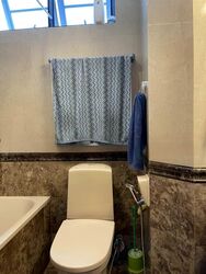 Sanctuary Green (D15), Condominium #479485661